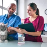 VetCityPets Veterinary Clinic